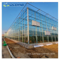 Agricultural commercial venlo glass greenhouse price